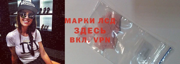 PSILOCYBIN Алзамай