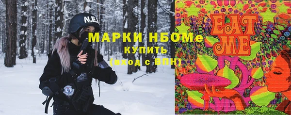 PSILOCYBIN Алзамай
