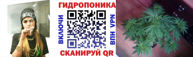 Конопля план  МЕГА ONION  Ухта 
